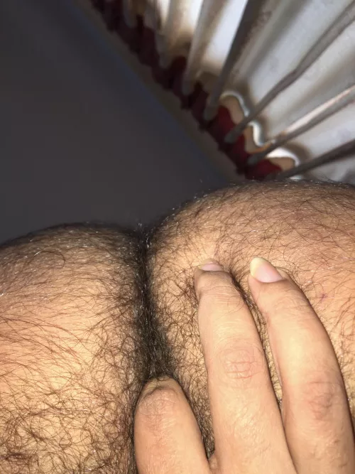 wilderness exploration by agnosticnudes