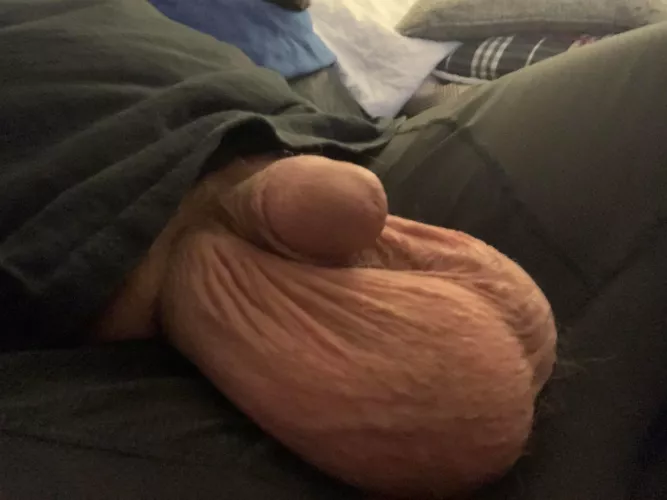 Will they fit in your mouth? by AKAChewy