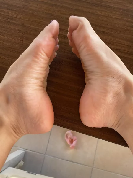 Will you be happy if I let you smell? by maradespina