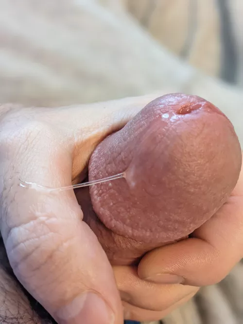 Will you clean my precum up?