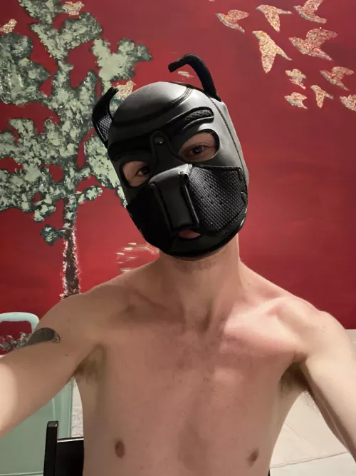 Will you give me a bone?😈🍆🍆 by yikyakrevival