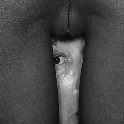 Window by badmisterbunny