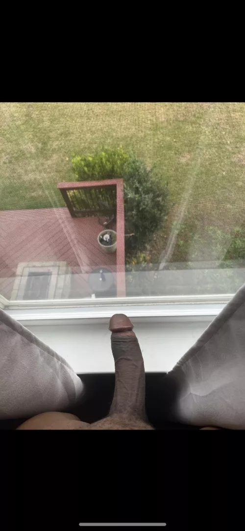 Window views by CoachK014