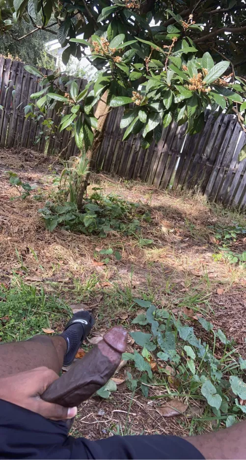 Windy out by throwaway902201