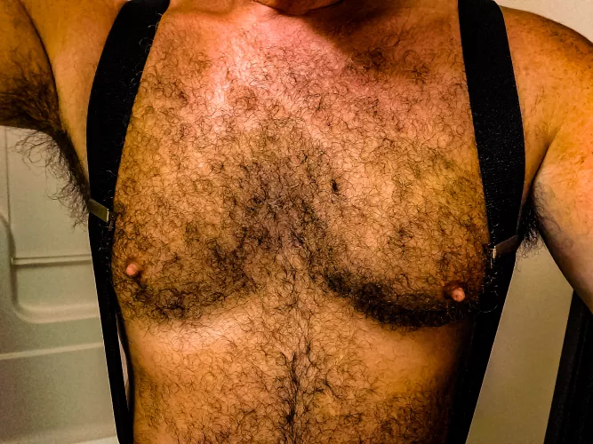 Winter coat by hrh409