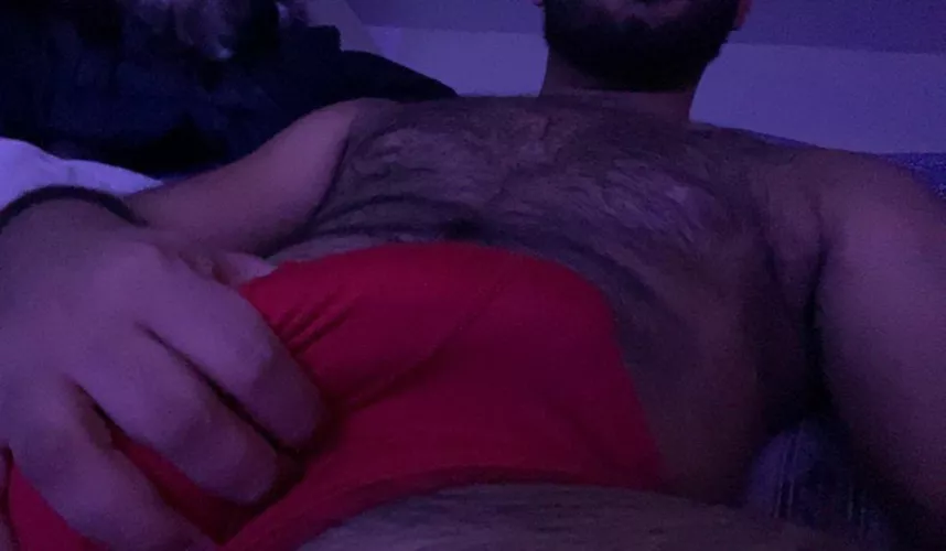 Winter cuddle body is ready by prostication