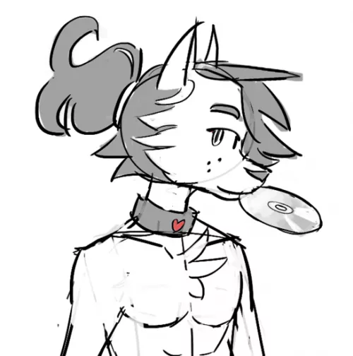 WIP Making my fursona <3 by CDfelinus