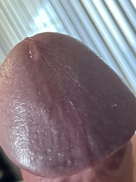 Wish I could time these better. 26 AZ. Kik terriblydapper by azfunguy2