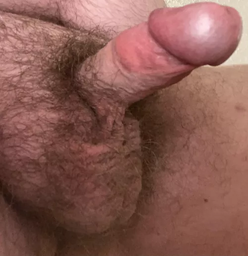 Wish I had someone to slide my hard cock into right now! 😘 by beezelgeuse