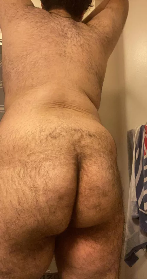 Wish it was harrier tbh by ArturoMichaelX