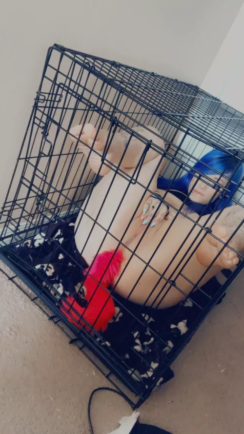 Wish my owner would come home soon by jxxxa