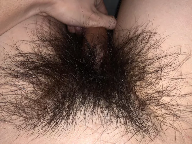 Wish someone could give my hairy thick bush some attention. Any takers? by HairyWildBush