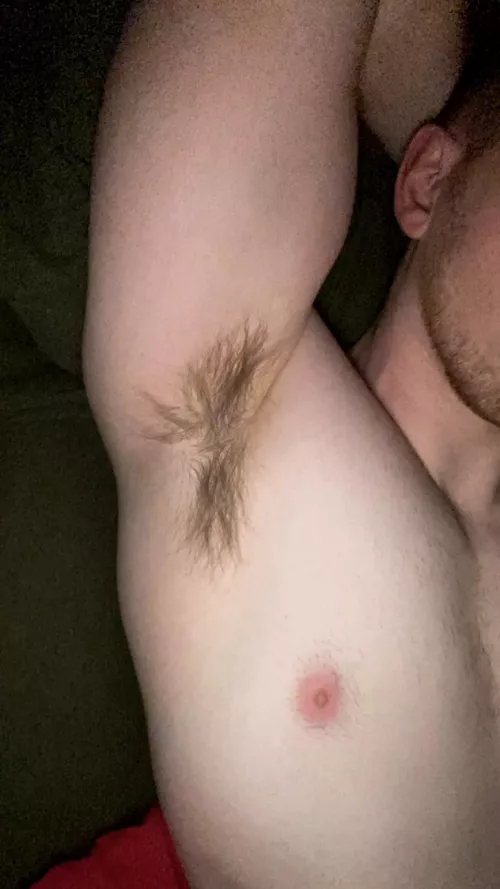 Wish they were hairier not gonna lie (I don’t trim them) by lanzarino