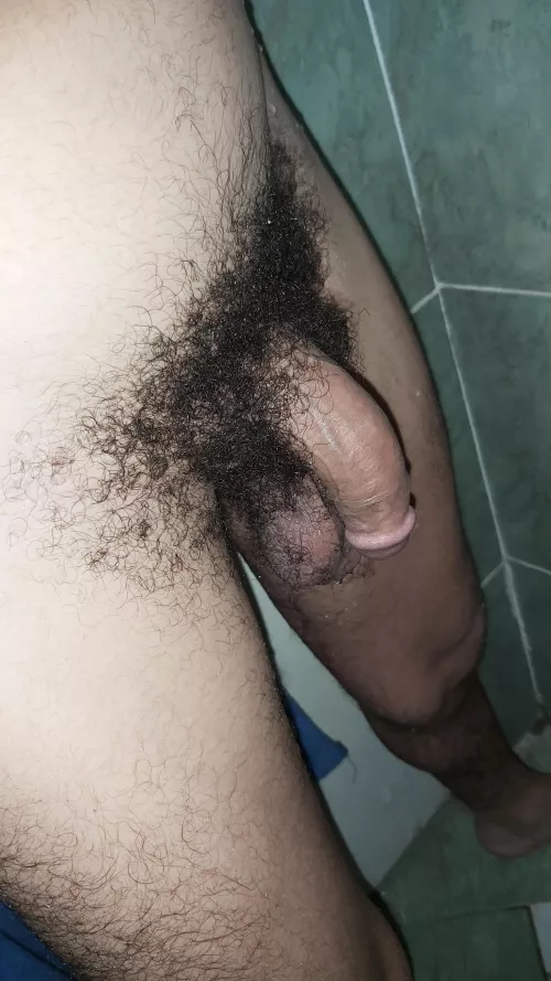 With the weather getting colder, this thick bush will come in handy soon by Cock_Exhibition