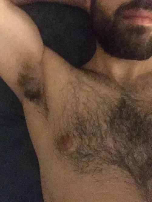 Without tanks this time by curious93_