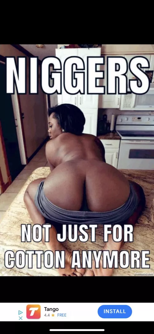 W.M.C.D.O🐒💦👨🏼👨🏻 by Due_Cryptographer605