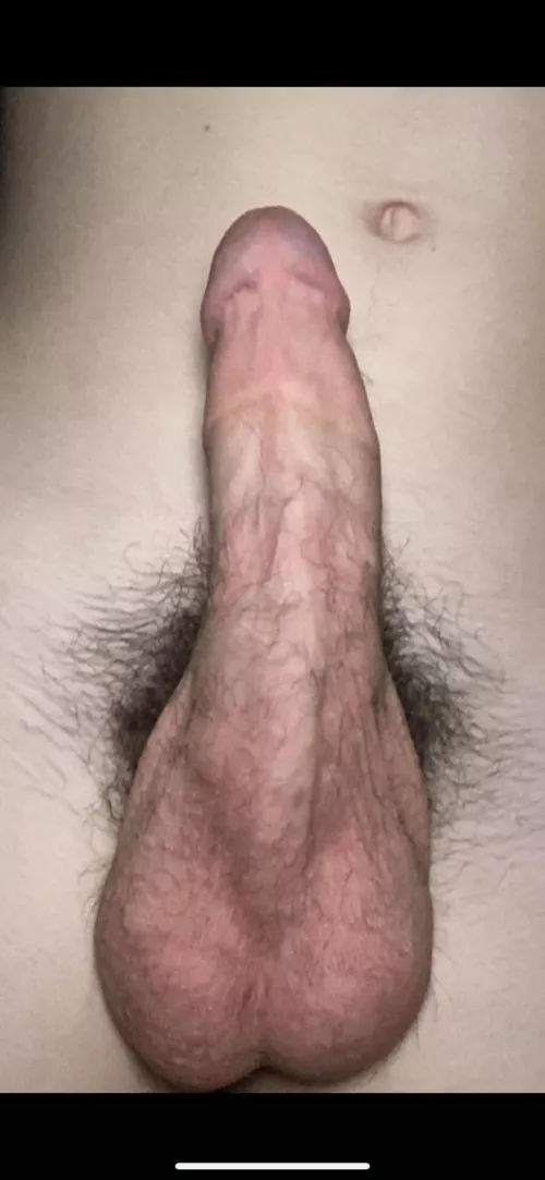 Woah, Nice Cock. 😏 by Capital-Fishing8285