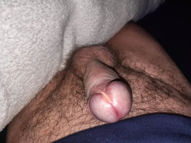 Woke up to this and other to put it. Any offers? by SummerCompetitive327