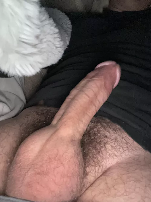 Woke up with a raging hard on. Rate? by joeygallo12