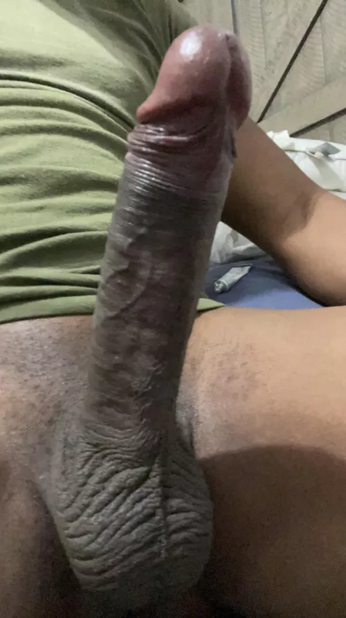 Woke up with the biggest erection. I must of had a dream about you. by Fuzzy_Ad3162