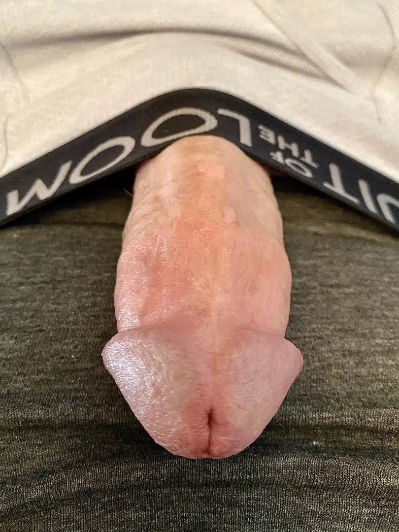 Won’t stay in there! posted by Lerxst666