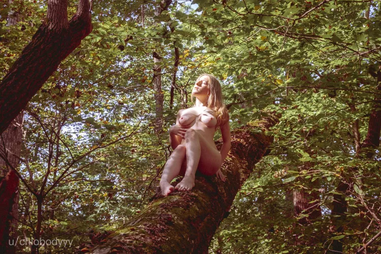 Wood is my favorite thing to sit on by chlobodyyy