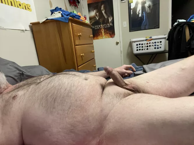 Wood morning 😸 by CarnivoreSteve