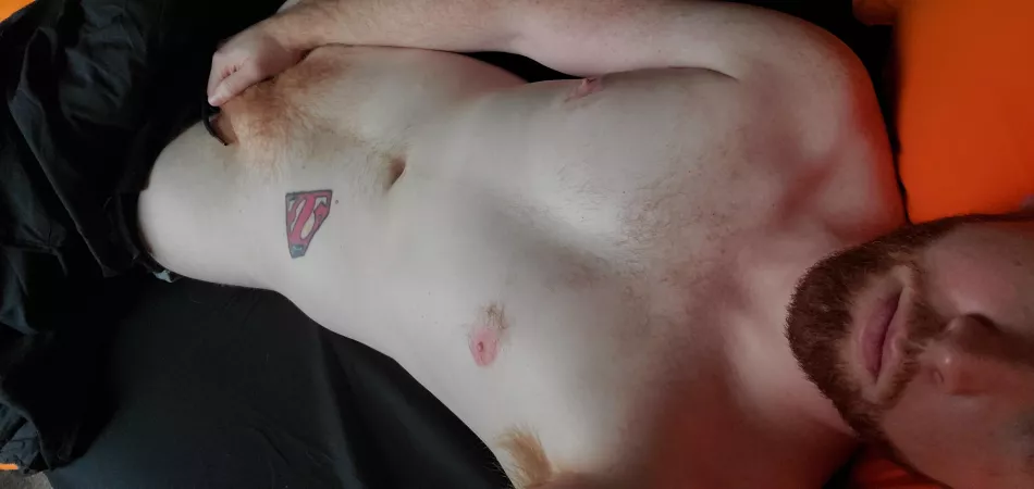 Wood Morning Otters. Snap= chefbrandon by bib-rad