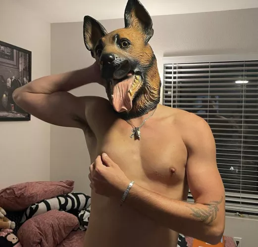 Woof 🐶 by tensevvvin