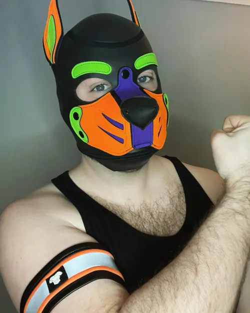 Woof Happy Valentine’s Day Pups 💜 by Pupspencer