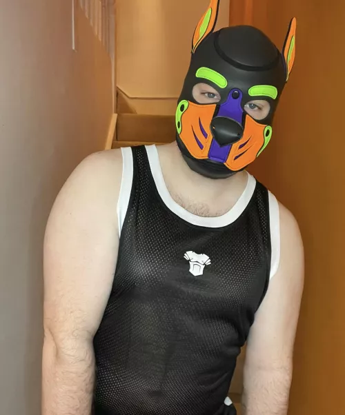 Woof 🐾 Hello… Missed Me? 💜🧡💚 by Pupspencer