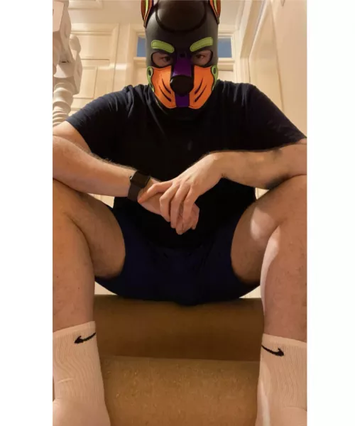 Woof woof. Get down there by Pupspencer