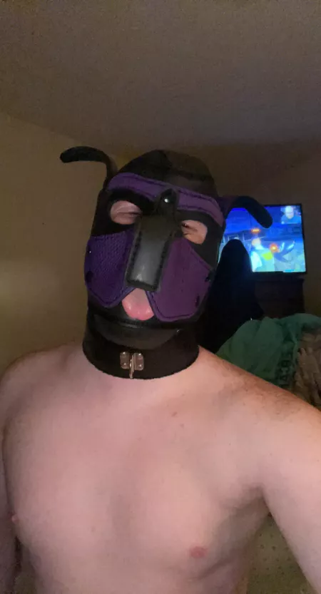 Woooof by Deep-Engineering6898