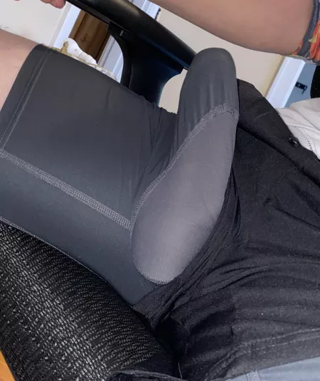 Work from home life by big_throwaway_guy