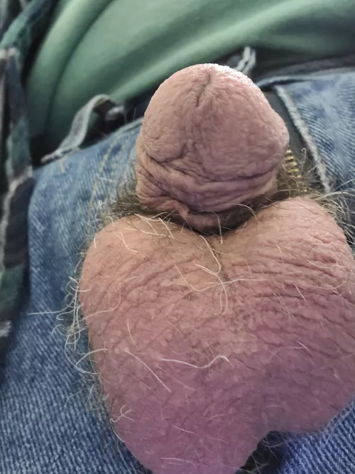 Work softie by zookeeper1245