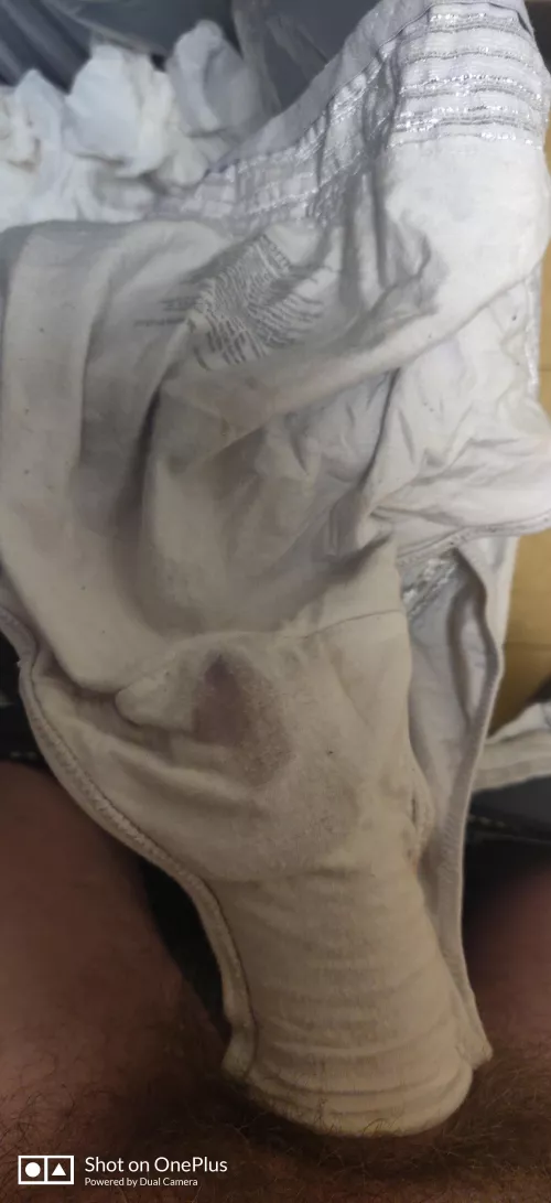 Working alone again. I am using my wife's panties to catch all the precum for the day and put it back at the end of the day. Feed me anything to help me edge. by mutz38