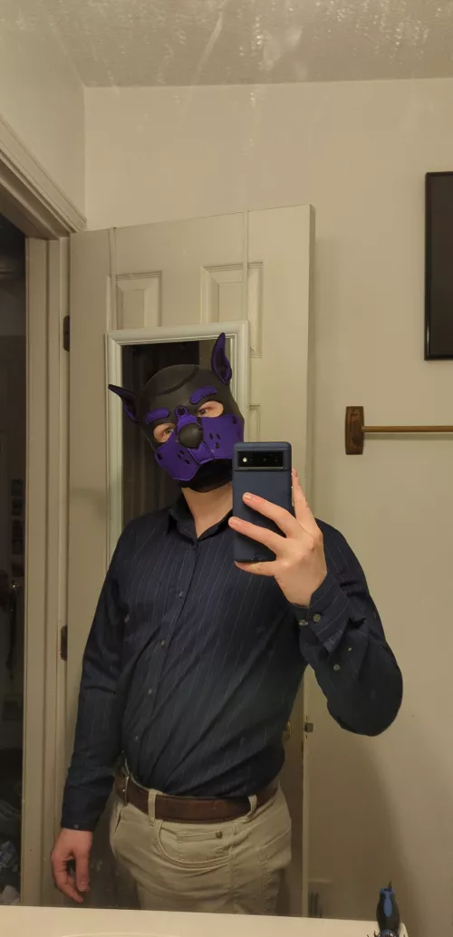 Working pup! by bigbaleen