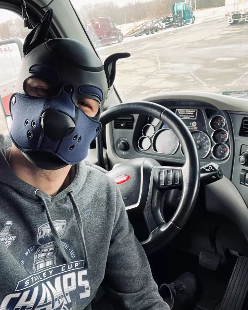 Workings pupper 🚛 beep beep 🐾 by Calm-Charity1355