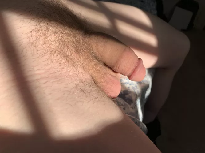 worship me (18) by Beginning-Ad1436