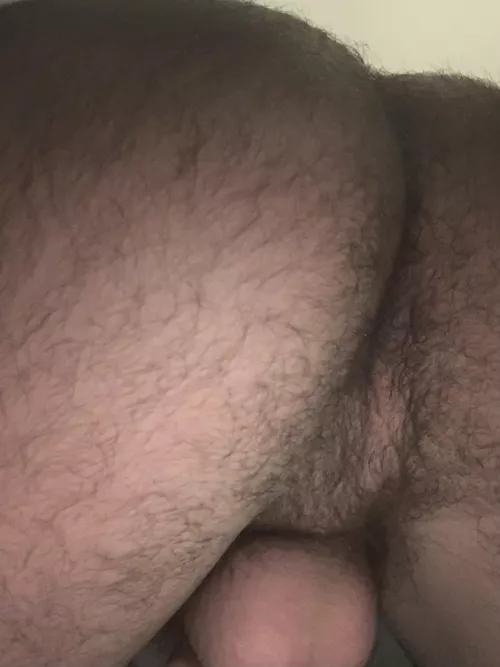 Would anybody stick their face in this hole? by ComprehensiveGas5340