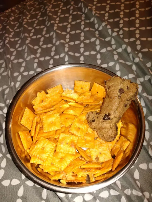 Would anyone like to come share some snacks? I don't bite....very hard and NEED pup friends by galacticecreaman