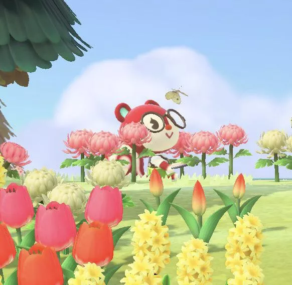 Would anyone wanna be animal crossing post card pen pals? 🥺 posted by JuneBeary