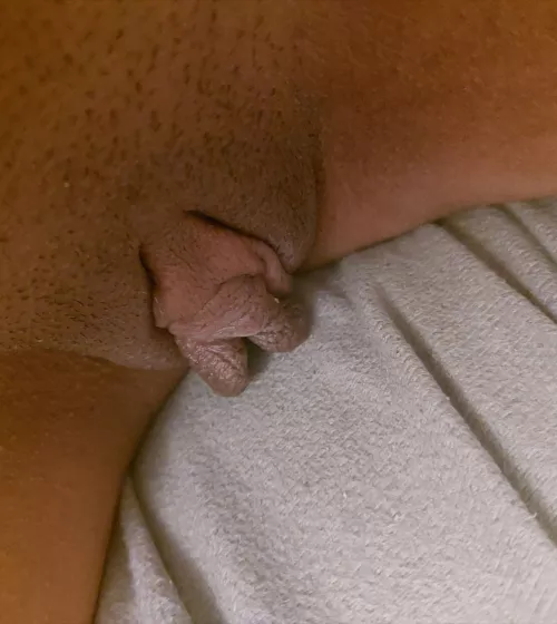 would be happy to hear your opinions by Whole_Vehicle3617