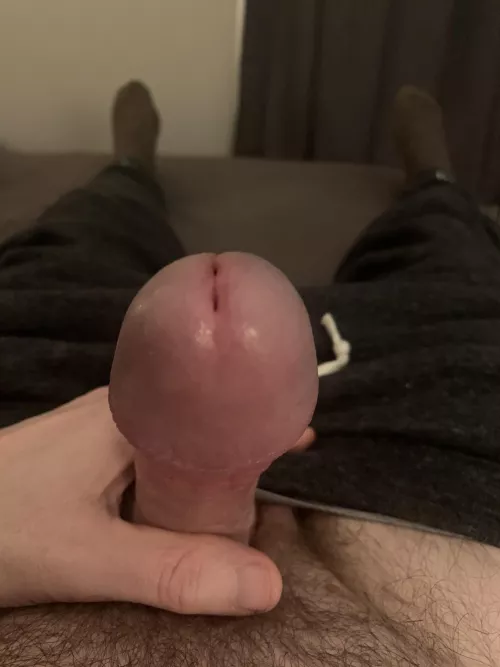 Would love to feel one up against this until we both cum 😜 by WVguy19774