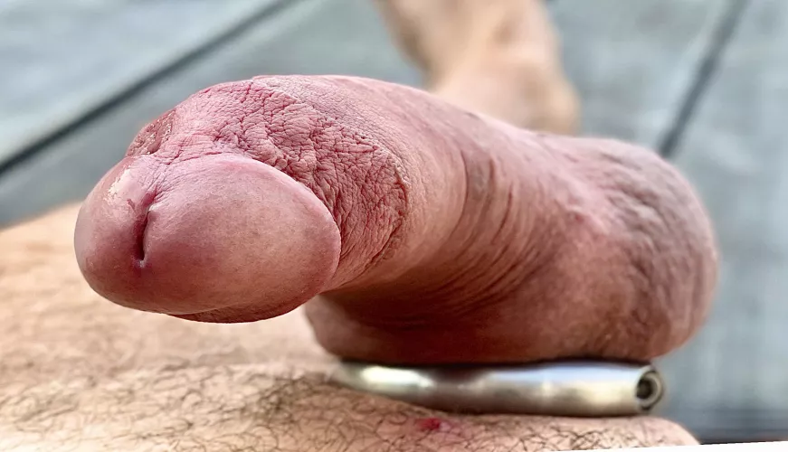 Would not lie down in the sauna. Oh well, those who stroked didn’t help. by are_we_there_now