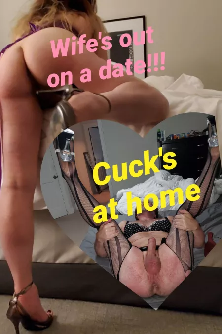 Would offer all holes to fat cocked bull by Medical_Tie_9184