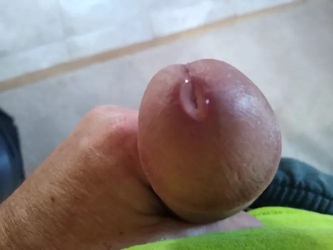 Would swallow me up with your mouth or pussy? I wanna our sex juices with you by gray37615