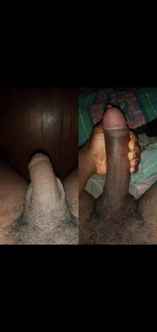 would they be surprised by hornywithadashofweeb