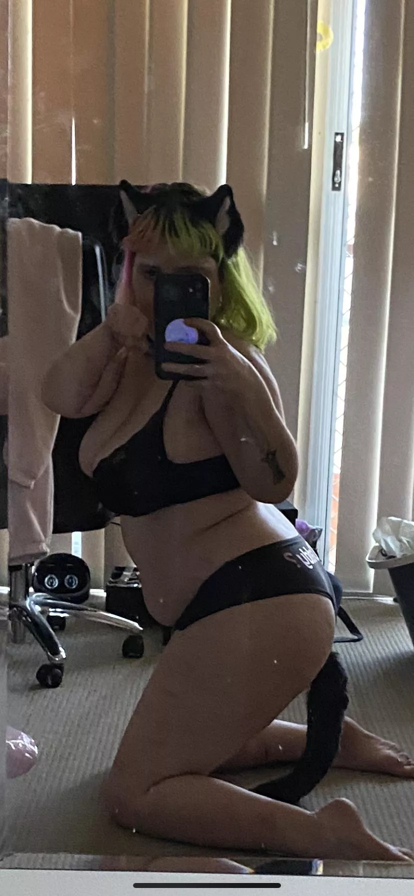 Would u pull my tail? posted by Sluggyshy