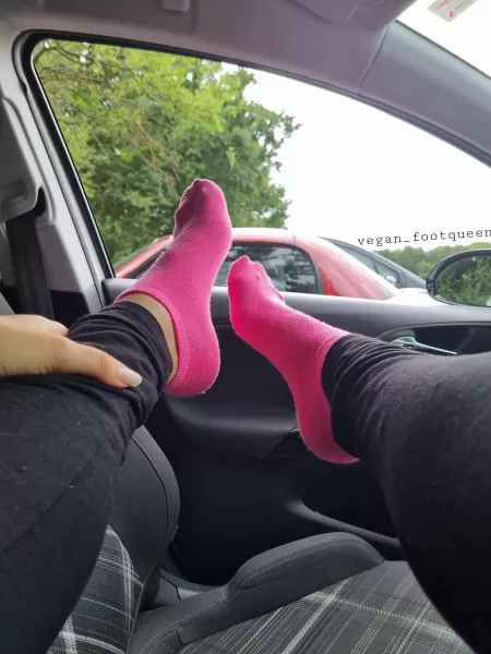 Would you be my passenger? 🚗 by Veganfootqueen